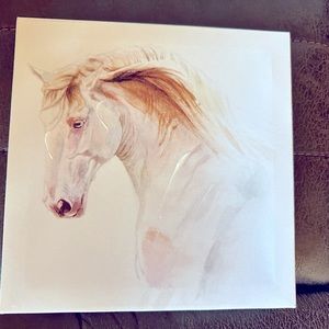 Horse Picture on Canvas
